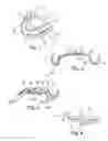 Fig. 02 - DIAGNOSTIC APPARATUS