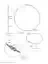 Fig. 65 - Pneumoperitoneum device