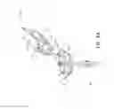 Fig. 09 - Handles for needle assemblies