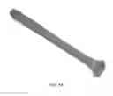 Fig. 20 - Bone screws and methods of use thereof