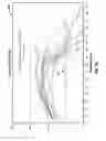 Fig. 09 - MICROWAVE ABLATION SYSTEM WITH DIELECTRIC TEMPERATURE PROBE
