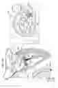 Fig. 40 - Annuloplasty ring delivery catheters
