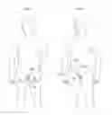 Fig. 02 - Penile implant