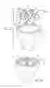 Fig. 06 - Prosthetic implant support structure