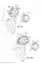 Fig. 09 - Prosthetic implant support structure