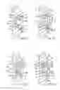 Fig. 10 - Prosthetic implant support structure
