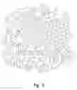 Fig. 05 - METALLIC STRUCTURES HAVING POROUS REGIONS FROM IMAGED BONE AT PRE-DEFINED ANATOMIC LOCATIONS