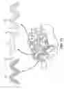 Fig. 14 - Implant with bone contacting elements having helical and undulating planar geometries