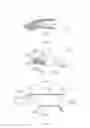 Fig. 03 - Prosthetic finger