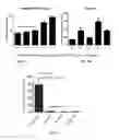Fig. 09 - Topical formulation of hyperbranched polymer-coated particles