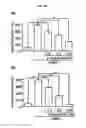 Fig. 04 - Composition for skin whitening comprising β-mangostin as effective ingredient