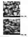 Fig. 02 - IMMEDIATE RELEASE, ABUSE DETERRENT PHARMACEUTICAL COMPOSITIONS