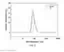 Fig. 06 - Method for preparing liposome frozen powder capable of efficiently retaining its bilayer structure
