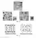 Fig. 07 - Method for preparing liposome frozen powder capable of efficiently retaining its bilayer structure