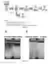 Fig. 09 - Method for preparing liposome frozen powder capable of efficiently retaining its bilayer structure