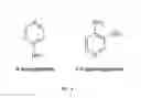 Fig. 04 - COMPOSITION AND METHODS FOR THE TREATMENT OF PERIPHERAL NERVE INJURY