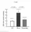 Fig. 09 - COMPOSITION FOR PREVENTING OR TREATING MITOCHONDRIAL DISEASES CAUSED BY IMMUNOSUPPRESSANTS, AND IMMUNE DISEASES, CONTAINING METFORMIN