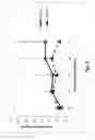 Fig. 09 - COMPOUNDS AND METHODS FOR TREATING ABERRANT ADRENOCORTICAL CELL DISORDERS