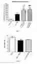 Fig. 06 - Compounds for the treatment of diseases linked to mitochondrial reactive oxygen species (ROS) production