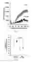 Fig. 09 - Compounds for the treatment of diseases linked to mitochondrial reactive oxygen species (ROS) production