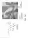 Fig. 28 - Methods and compositions of inhibiting DCN1-UBC12 interaction