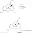 Fig. 100 - Oligomer-opioid agonist conjugates
