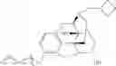 Fig. 28 - Oligomer-opioid agonist conjugates