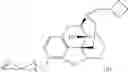 Fig. 31 - Oligomer-opioid agonist conjugates