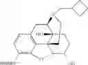 Fig. 33 - Oligomer-opioid agonist conjugates