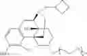 Fig. 37 - Oligomer-opioid agonist conjugates