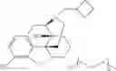 Fig. 41 - Oligomer-opioid agonist conjugates