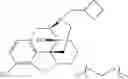 Fig. 43 - Oligomer-opioid agonist conjugates
