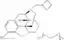 Fig. 45 - Oligomer-opioid agonist conjugates