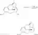 Fig. 94 - Oligomer-opioid agonist conjugates