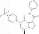 Fig. 166 - Substituted 6,7-dihydropyrazolo[1,5-a]pyrazines as negative allosteric modulators of mGluR2 receptors