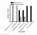Fig. 01 - Methods relating to the diagnosis and treatment of preeclampsia comprising administration of ADAMTS13 polypeptides