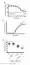Fig. 13 - Methods relating to the diagnosis and treatment of preeclampsia comprising administration of ADAMTS13 polypeptides