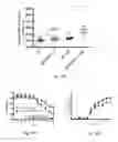 Fig. 17 - Methods relating to the diagnosis and treatment of preeclampsia comprising administration of ADAMTS13 polypeptides