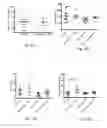 Fig. 19 - Methods relating to the diagnosis and treatment of preeclampsia comprising administration of ADAMTS13 polypeptides