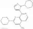 Fig. 136 - 2-(morpholin-4-yl)-1,7-naphthyridines
