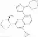 Fig. 158 - 2-(morpholin-4-yl)-1,7-naphthyridines