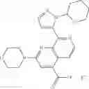 Fig. 176 - 2-(morpholin-4-yl)-1,7-naphthyridines