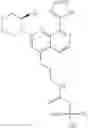 Fig. 216 - 2-(morpholin-4-yl)-1,7-naphthyridines