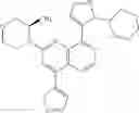 Fig. 321 - 2-(morpholin-4-yl)-1,7-naphthyridines