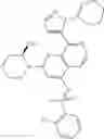Fig. 359 - 2-(morpholin-4-yl)-1,7-naphthyridines