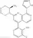 Fig. 458 - 2-(morpholin-4-yl)-1,7-naphthyridines