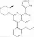 Fig. 490 - 2-(morpholin-4-yl)-1,7-naphthyridines