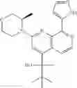 Fig. 557 - 2-(morpholin-4-yl)-1,7-naphthyridines