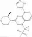 Fig. 565 - 2-(morpholin-4-yl)-1,7-naphthyridines