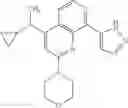 Fig. 714 - 2-(morpholin-4-yl)-1,7-naphthyridines